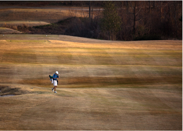 Golfer walking alone across a sunlit fairway, carrying clubs toward the next hole.
