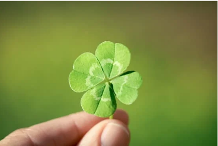 好運 (Luck) Is a Skill We Can Learn